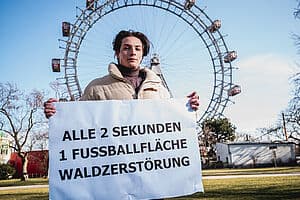 Waldschutz mit Kahlschlägen? Südwind warnt vor absurder Aufweichung des EU-Waldschutzgesetzes