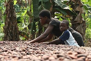 Umstieg der Traditionsmarke Manner auf eine FAIRTRADE-Zertifizierung